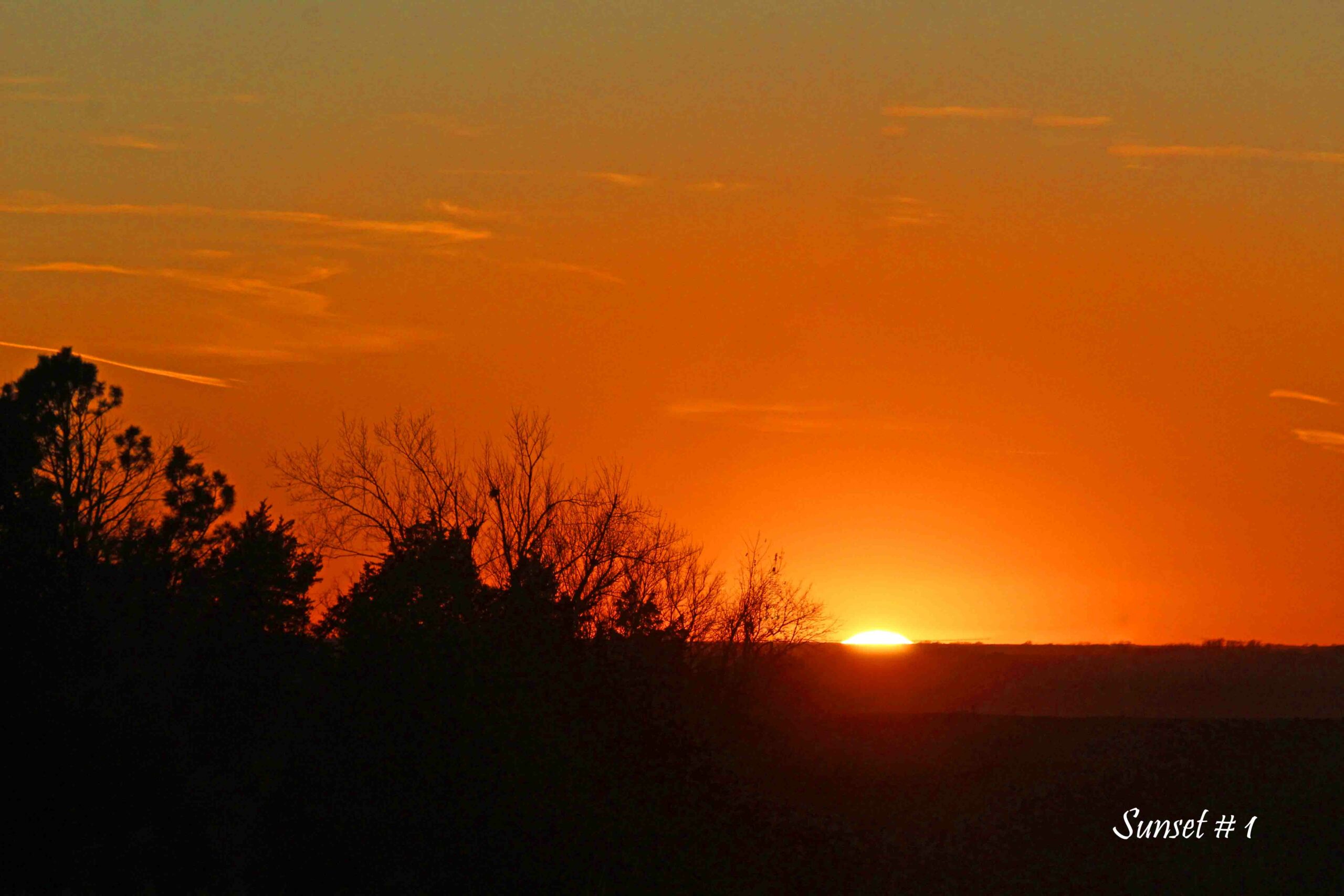 2022-11-22-_MG_1363-DLL-NE-PM-1-copy