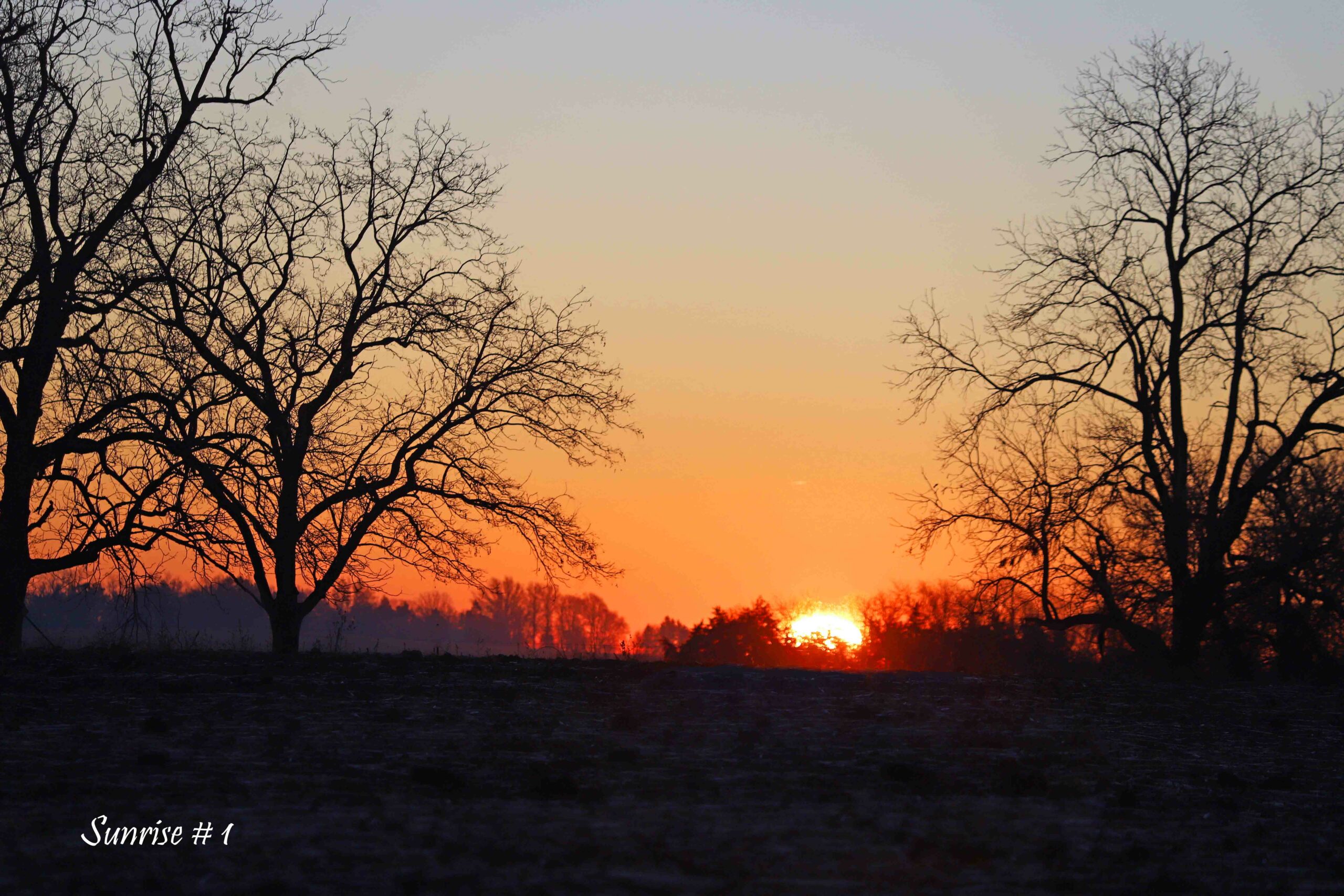 2022-11-25-IMG_1570-DLL-NE-AM-1-copy