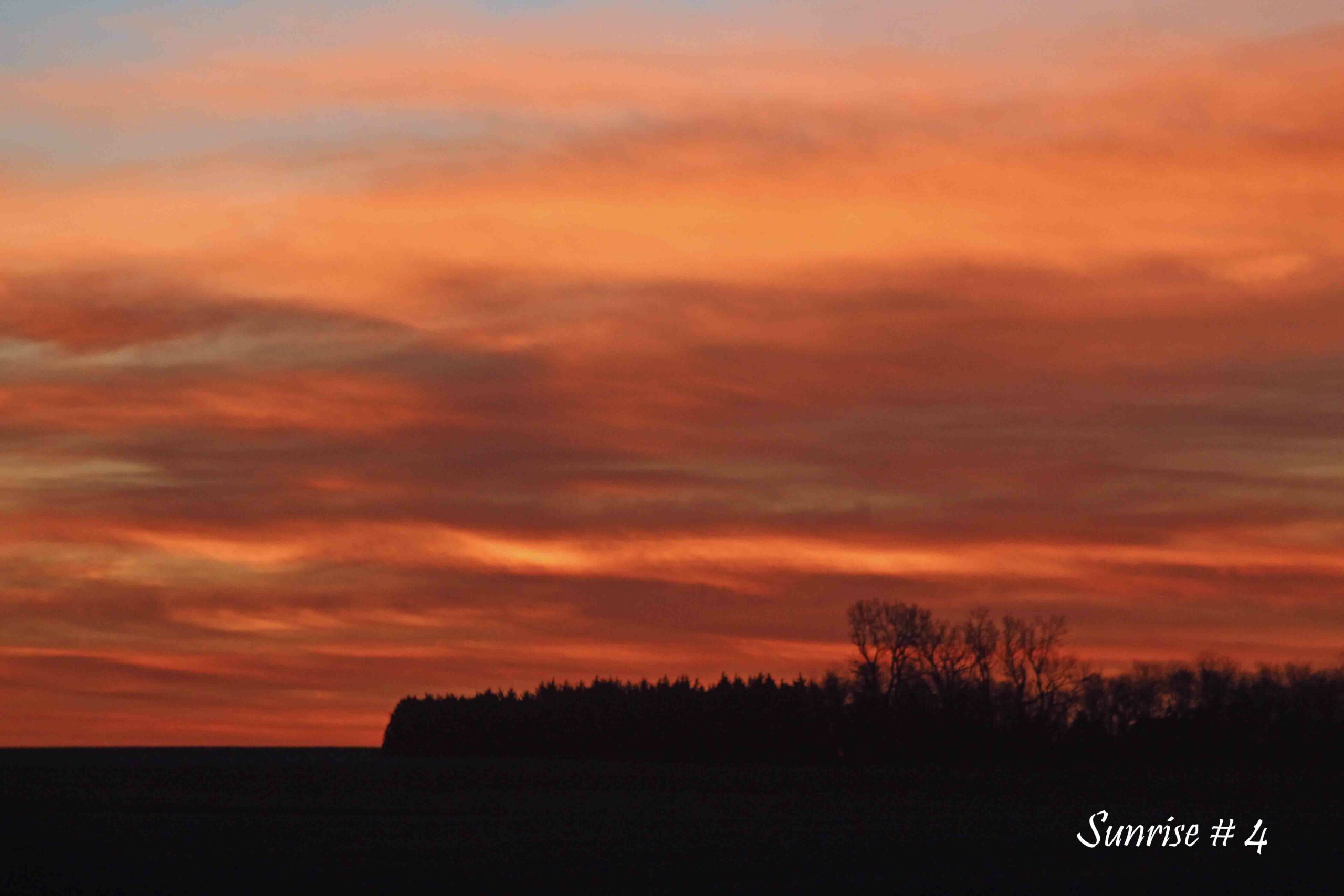 2022-11-26-_MG_1384-DLL-NE-AM-4-copy