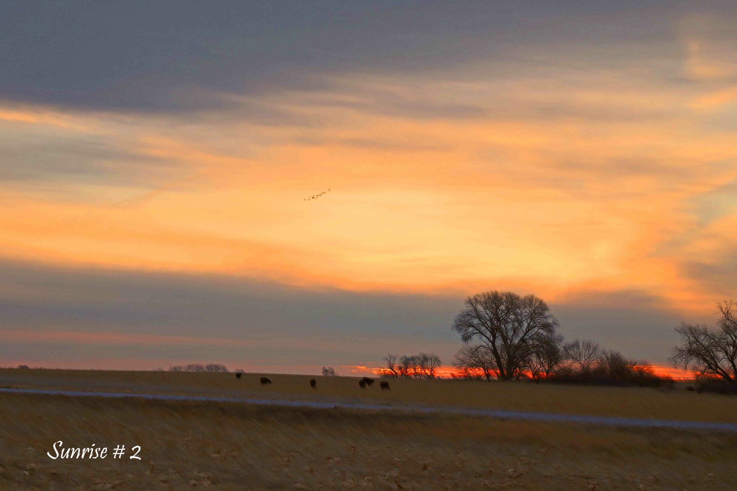 2022-11-27-IMG_1609-DLL-NE-AM-2-copy