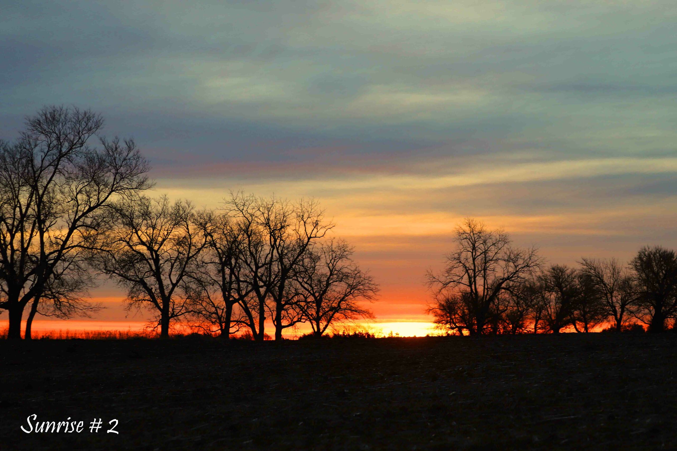 2022-12-27-IMG_1937-DLL-NE-AM-2-copy